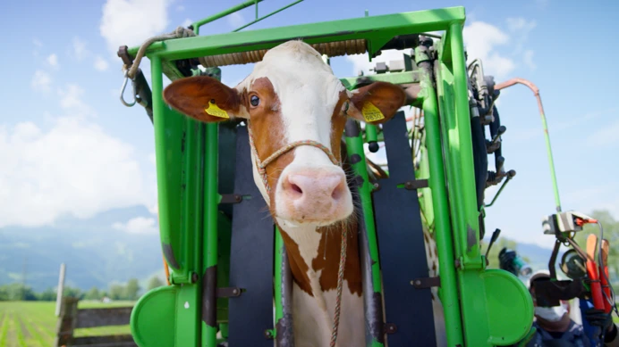 Reduced animal suffering